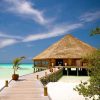 Maldives - Image 2