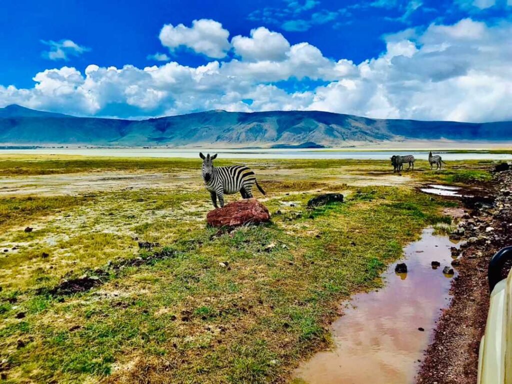 3 Days Tanzania Tours to Tarangire / Lake Manyara & Ngorongoro